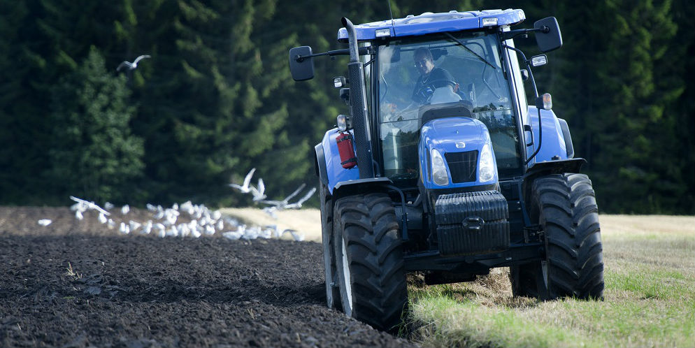 Lantbrukare i en blå traktor som står med ena hjulet i mylla och med det andra på gräsmatta. I bakgrunden har måsar samlats på fältet.