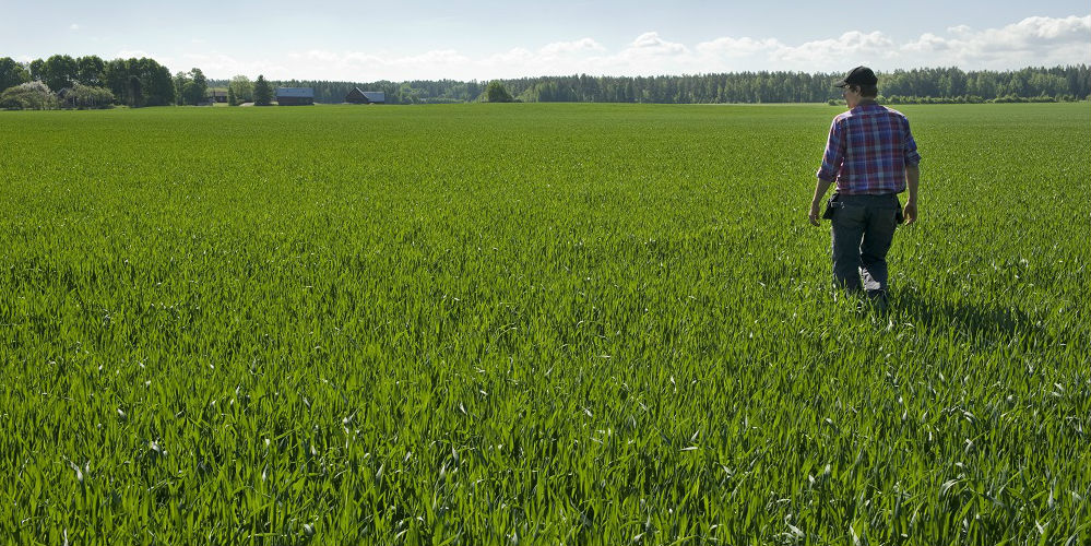 Ett man syns bakifrån på ett grönt fält vandra bort från betraktaren. En gård syns långt bort i horisonten. 