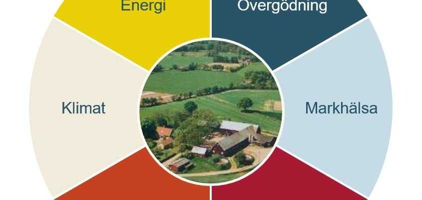 Två personer syns bakifrån titta på ett dokument med omseminering.