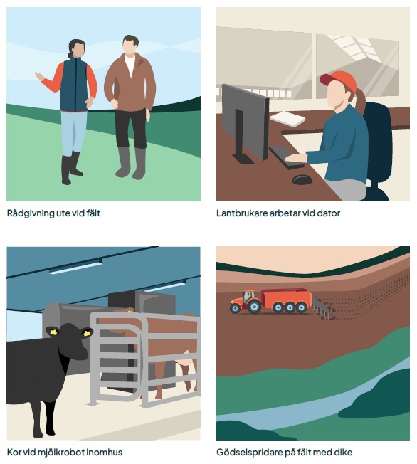 Exempel på fyra illustrationer.