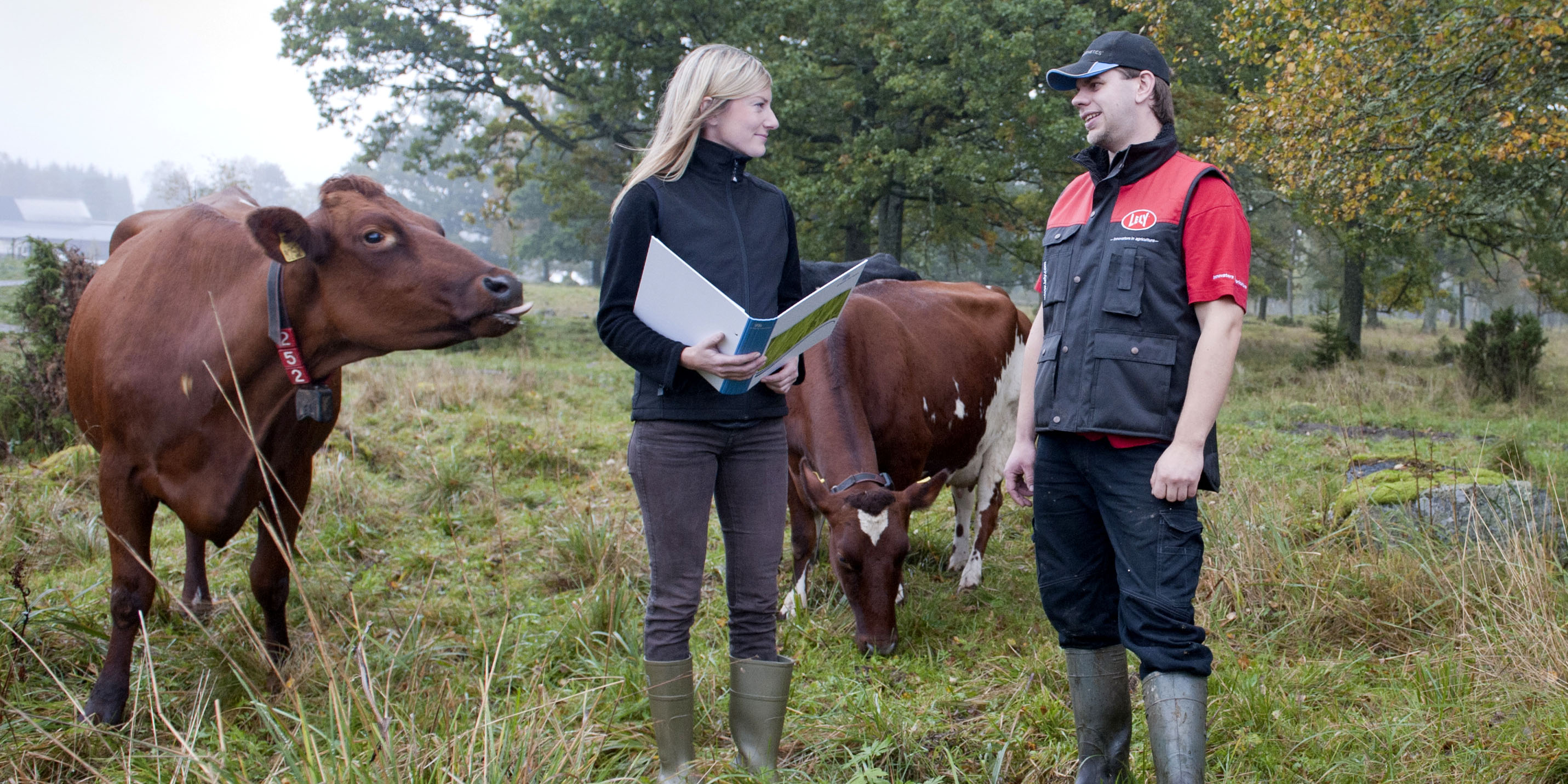 En kvinnlig rådgivare från Greppa Näringen håller i en pärm och samtalar med en manlig lantbrukare som är medlem. De står bland kor på bete.