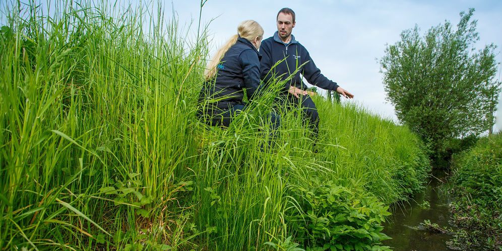 En rådgivare från Greppa Näringen och en lantbrukare som är medlem sitter och står intill ett dike med grön växtlighet och samtalar.