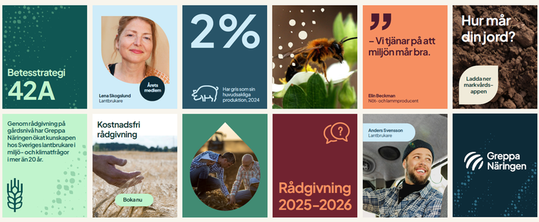 sammanfattning ny grafisk profil