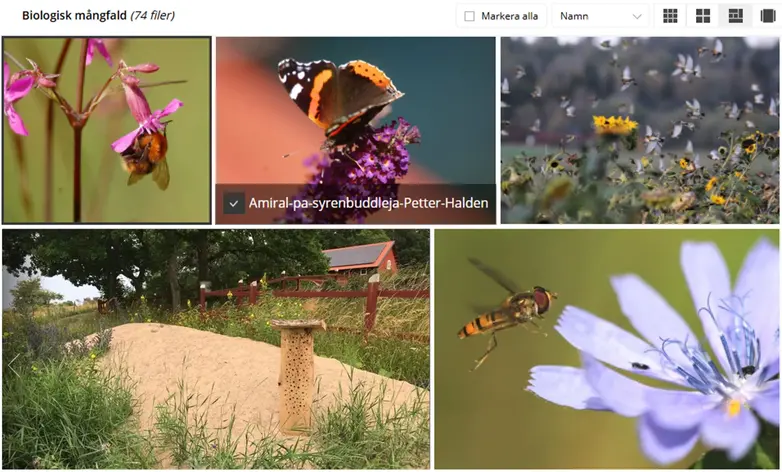 Collage från Greppa Näringens bildarkiv