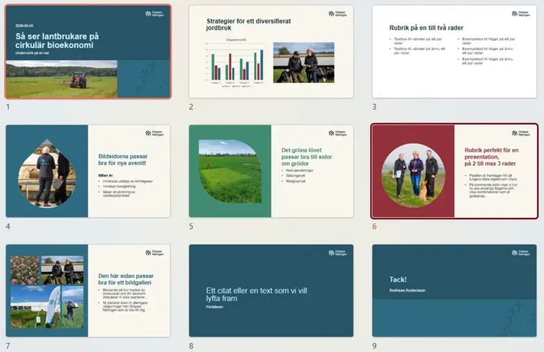 PowerPointmall med bildexempel